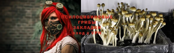 дурь Богданович