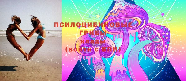 ешки Богородицк