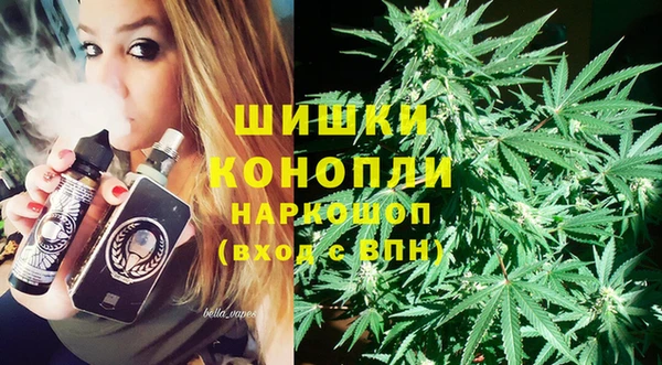 дурь Богданович