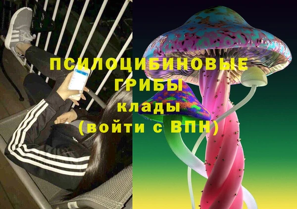 дурь Богданович